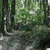 -2007 8